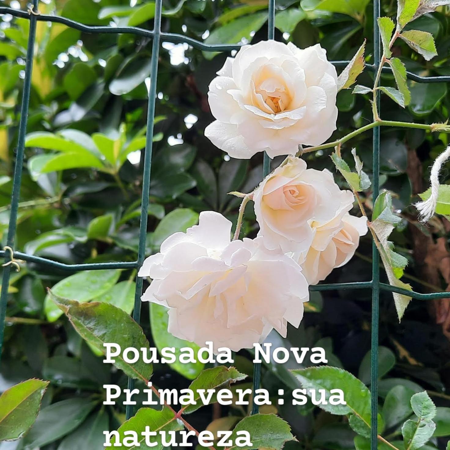 Pousada Nova Primavera Убатуба Экстерьер фото