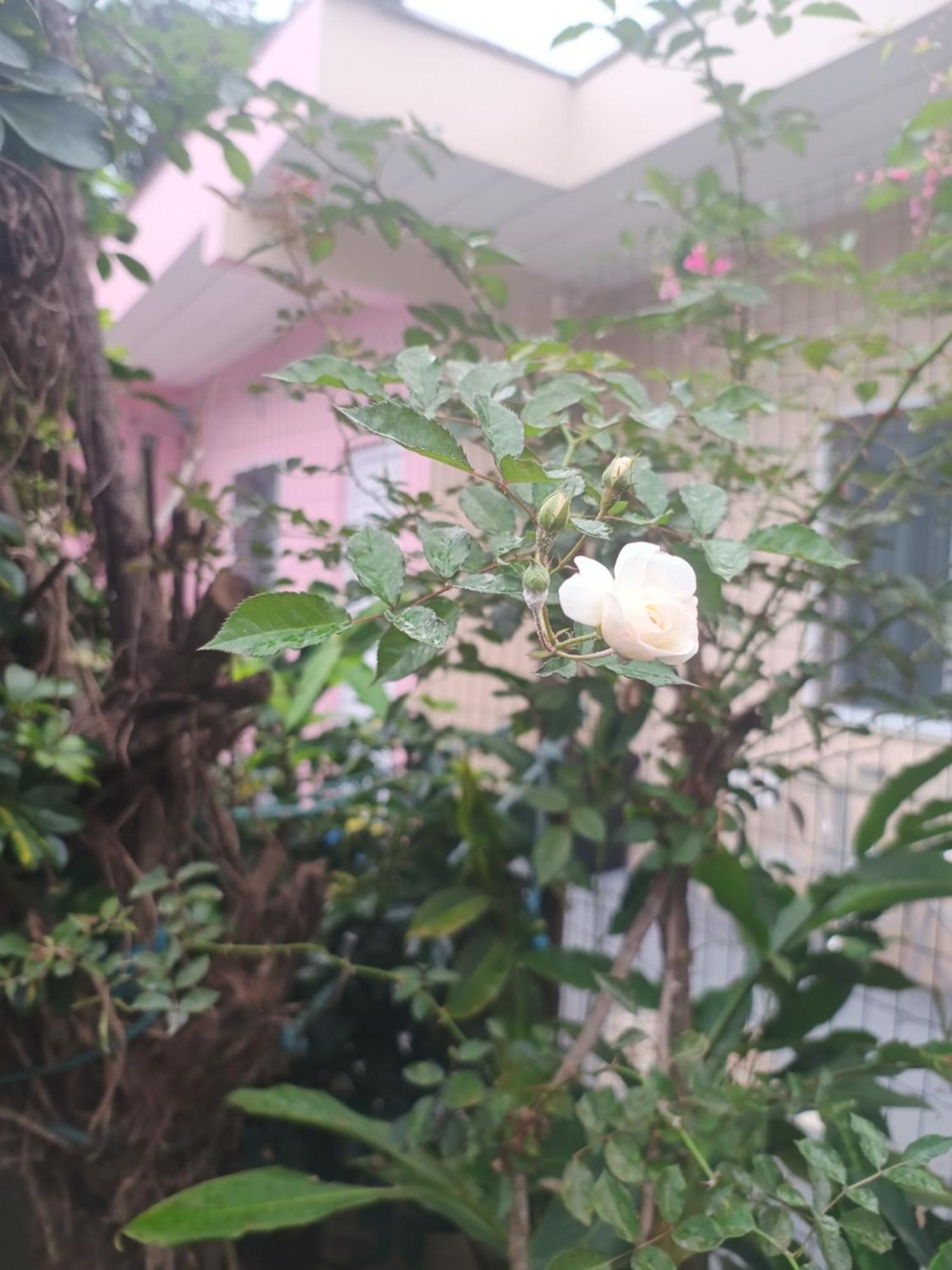 Pousada Nova Primavera Убатуба Экстерьер фото